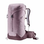 Aloe-dusk/denim-pine/grafite-shale/grape-beringine Deuter Ac Lite 22 Sl - Image 10