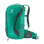 Deuter Race X Marine-dusk/black/fern-grafite